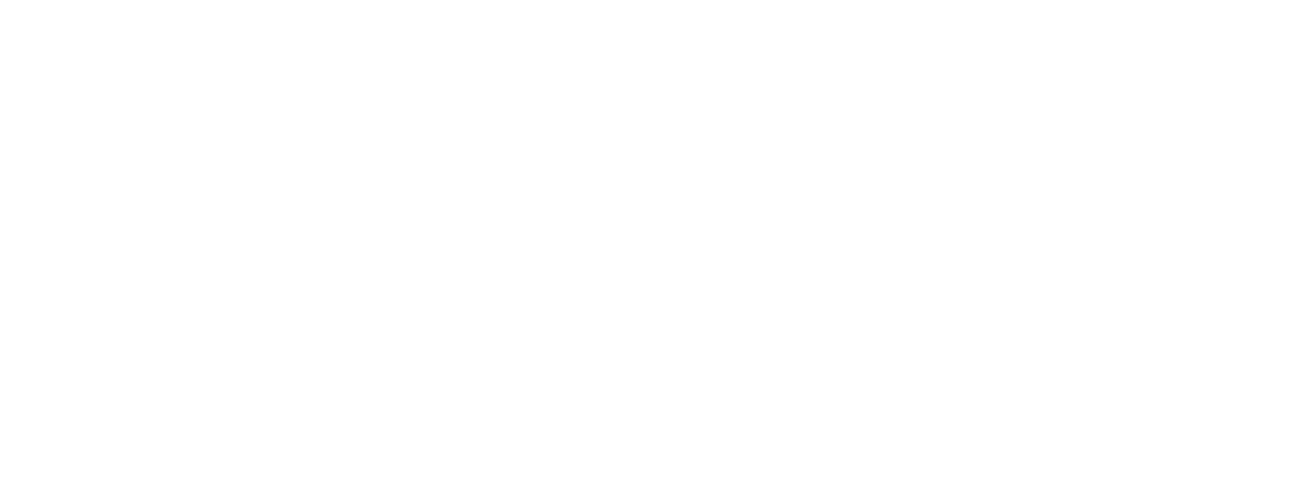 Blue Ocean Aesthetics Holdings, LLC